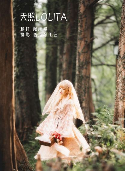 91免费在线公开视频_BT种子搜索